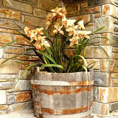 بيت ضيافة Melifilos 3*